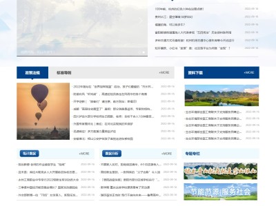 【K351】大气环保信息新闻蓝色政府党群协会网站模板